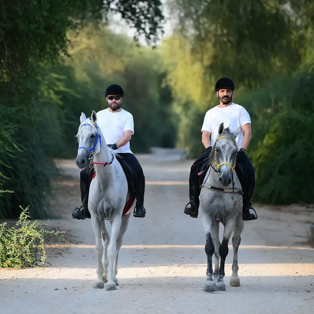 Forest Horse Riding