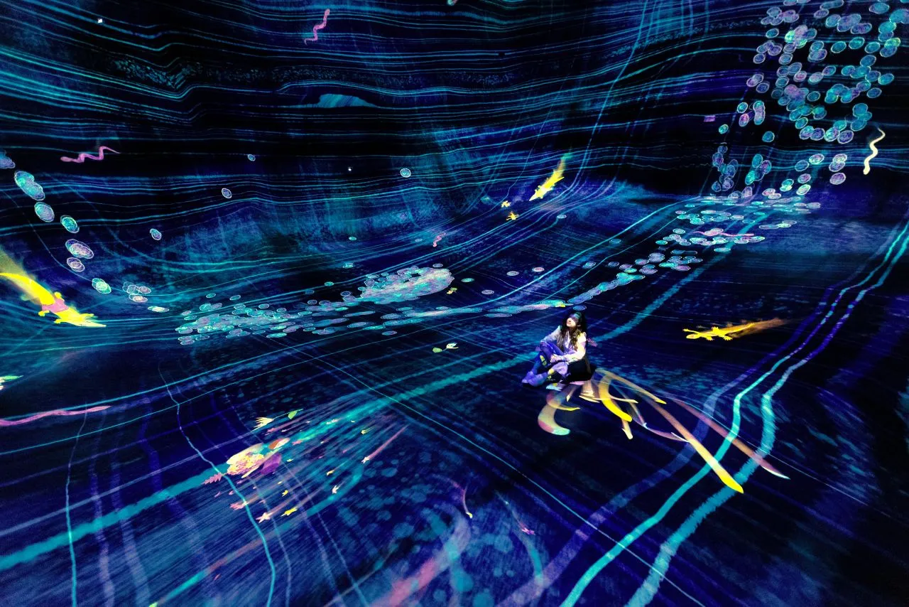 TeamLab Phenomena Abu Dhabi